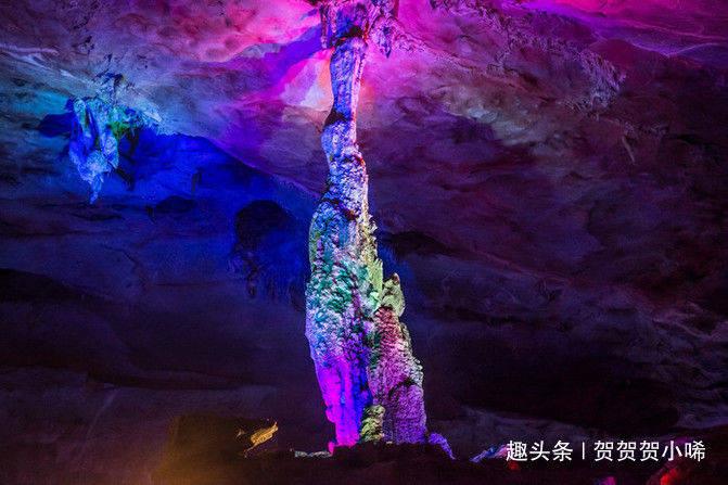 逗小猴开心系列208