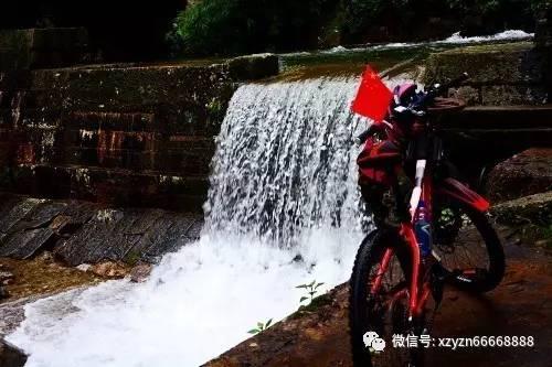 公告牌音乐奖