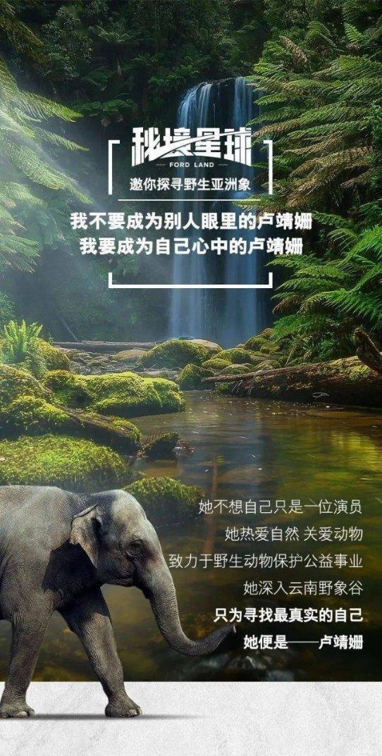动物记忆大翻牌