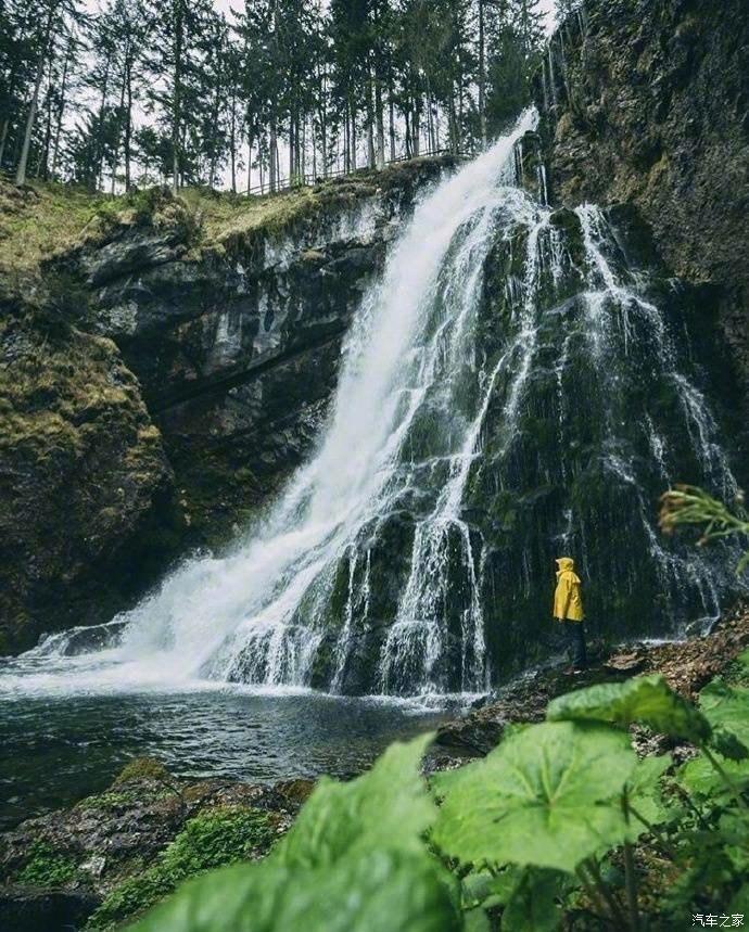 逃离绿色山谷