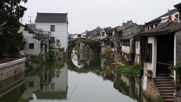 逗小猴开心系列198