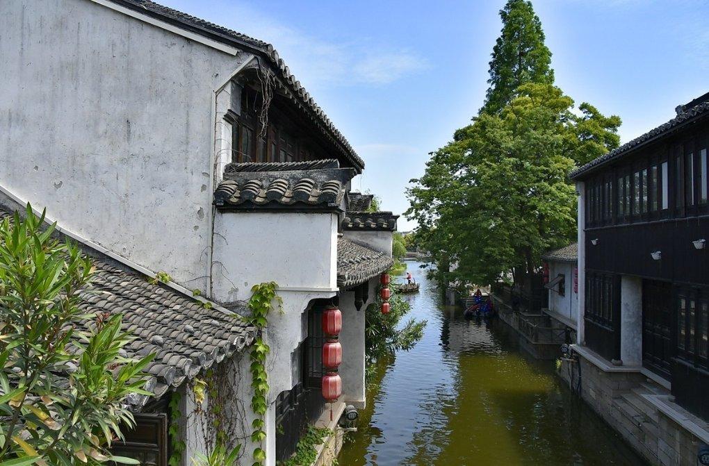 救援瓢虫宝宝